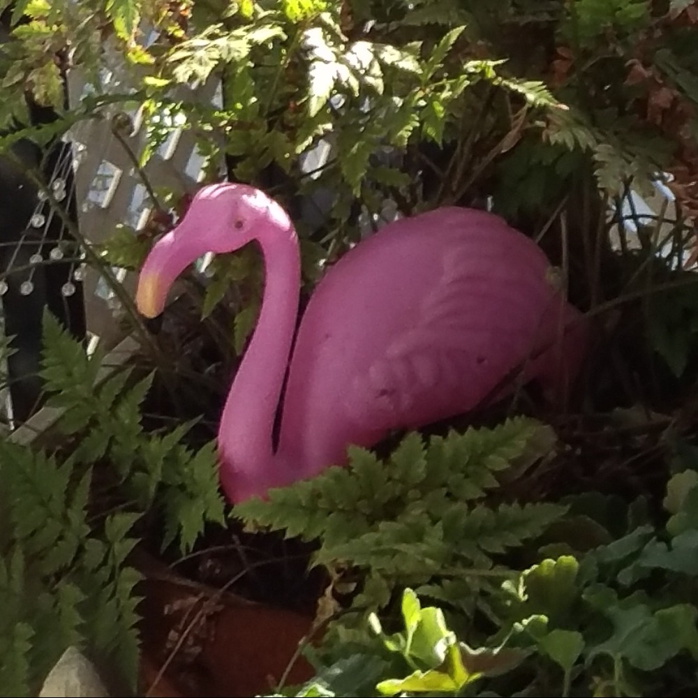 Meet your Posher, Emi.